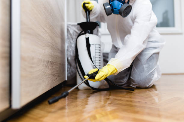Best Pest Prevention Services  in Sissonville, WV