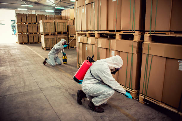 Best Cockroach Control Services  in Sissonville, WV