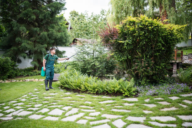 Best Affordable Pest Control Services  in Sissonville, WV