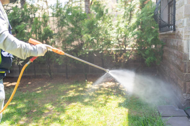 Best Rodent Control Near Me  in Sissonville, WV