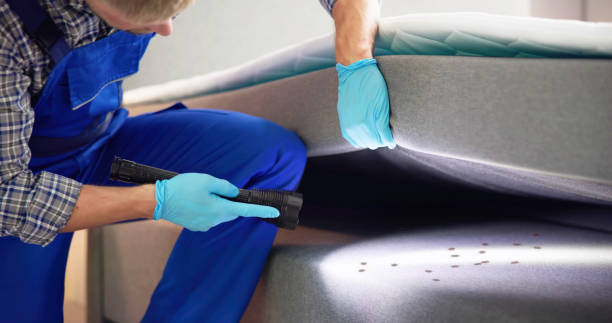 Best Ant Control Services  in Sissonville, WV