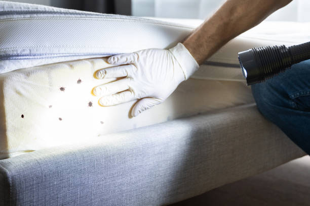 Best Pest Control Cost  in Sissonville, WV